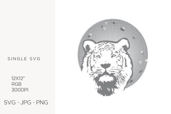 Download Animal, Wild, Ball, Beast, Cat, Celebrat - Premium Resources